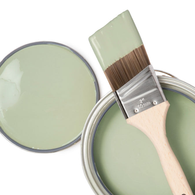 Sage Green Color: Everything You Need to Know
